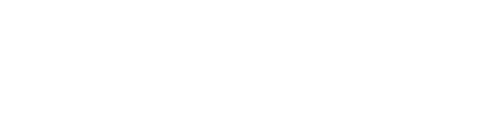 IRSAP S.p.A. | BEMM GmbH | IRROM INDUSTRIE S.r.l. | IRSAP UK Ltd | IR GROUP SARL | IRSAP IBERICA S.L.